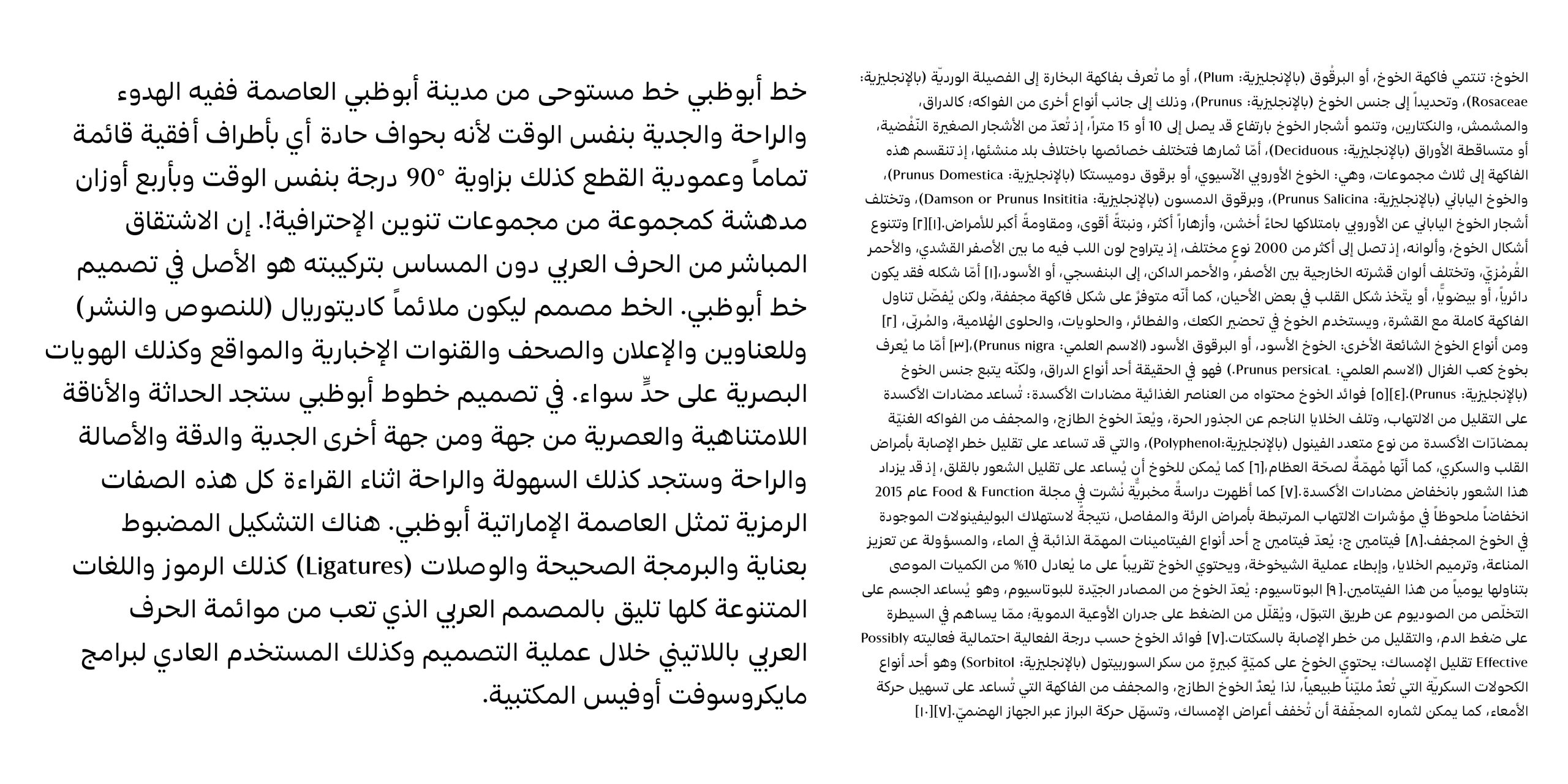 abu-dhabi-pro_7808
